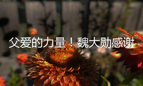 的力持自己勋感谢父量魏大要放说坚父爱亲在弃时
