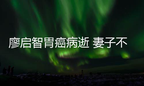 不眠不休智胃最后廖启癌病一程逝 送他妻子